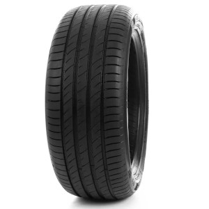 DELINTE DS 2 XL 215/50 R17 W