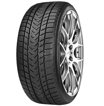 GRIPMAX SureGrip eWinter 205/60 R17 V